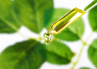 Coriander oil terpens
